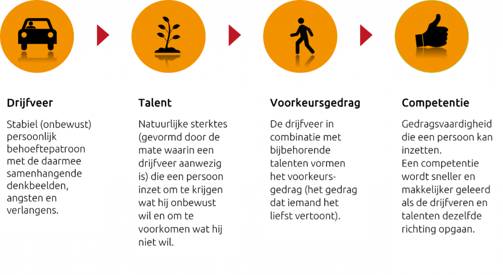 Talentontwikkeling - Groeien Vanuit Je Talenten En Drijfveren - Intenza